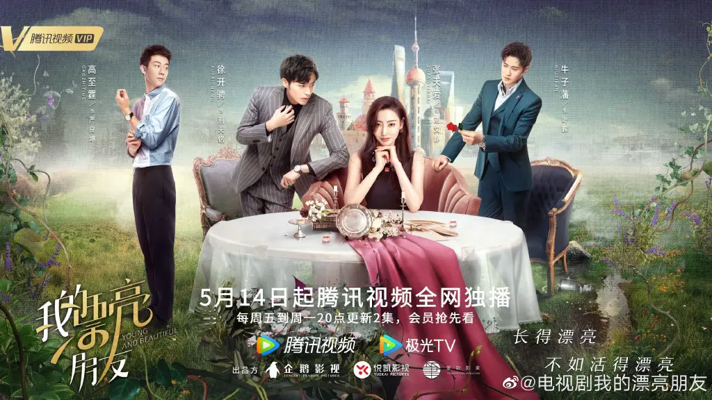 Young And Beautiful Chinese Drama - C-Drama Love - Show Summary